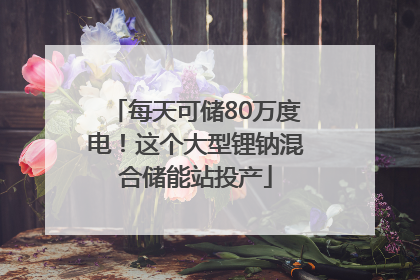每天可储80万度电！这个大型锂钠混合储能站投产