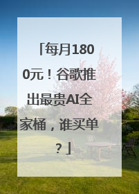 每月1800元！谷歌推出最贵AI全家桶，谁买单？