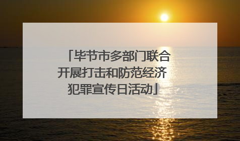 毕节市多部门联合开展打击和防范经济犯罪宣传日活动