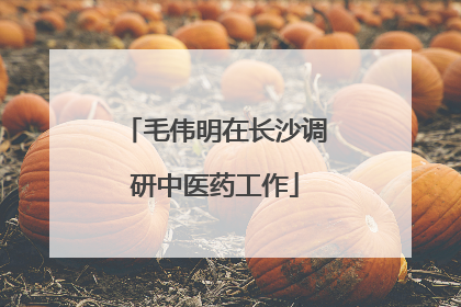 毛伟明在长沙调研中医药工作