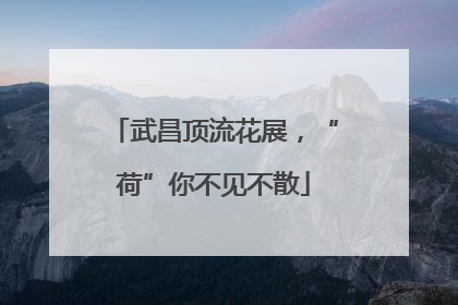 武昌顶流花展，“荷”你不见不散