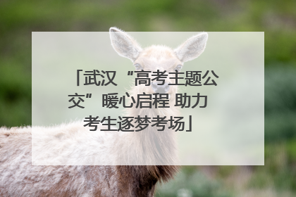 武汉“高考主题公交”暖心启程 助力考生逐梦考场