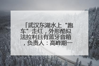 武汉东湖水上“跑车”走红，外形酷似法拉利且有蓝牙音箱，负责人：高峰期一两百人排队