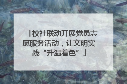 校社联动开展党员志愿服务活动，让文明实践“升温着色”