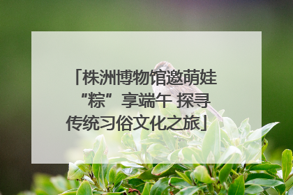 株洲博物馆邀萌娃“粽”享端午 探寻传统习俗文化之旅