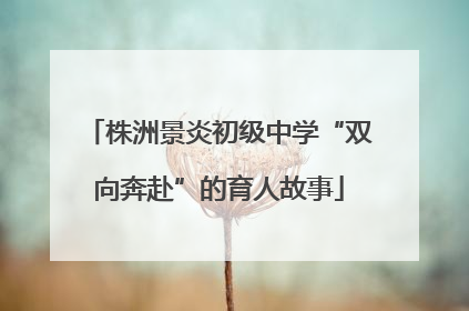 株洲景炎初级中学“双向奔赴”的育人故事