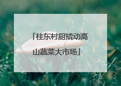 桂东村厨撬动高山蔬菜大市场