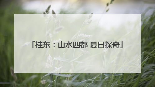 桂东：山水四都 夏日探奇