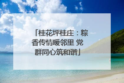 桂花坪桂庄：粽香传情暖邻里 党群同心筑和谐