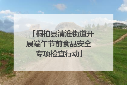 桐柏县清淮街道开展端午节前食品安全专项检查行动