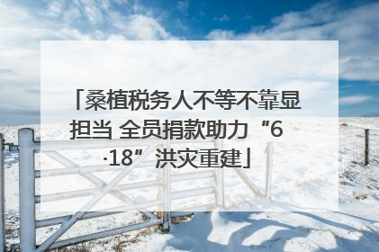 桑植税务人不等不靠显担当 全员捐款助力“6·18”洪灾重建