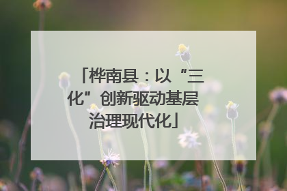桦南县：以“三化”创新驱动基层治理现代化