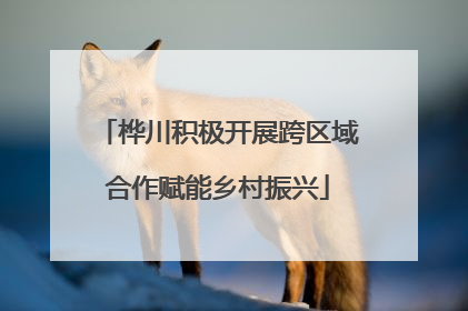 桦川积极开展跨区域合作赋能乡村振兴