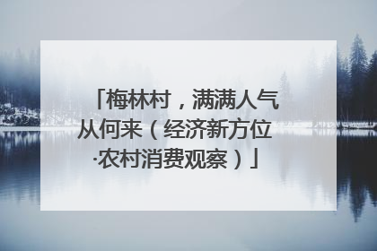 梅林村，满满人气从何来（经济新方位·农村消费观察）