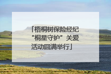 梧桐树保险经纪“桐星守护”关爱活动圆满举行