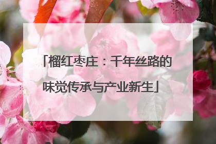 榴红枣庄：千年丝路的味觉传承与产业新生