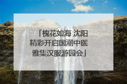 槐花如海 沈阳精彩开启国潮中医雅集汉服游园会
