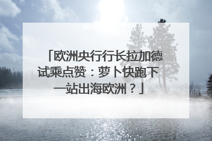 欧洲央行行长拉加德试乘点赞：萝卜快跑下一站出海欧洲？