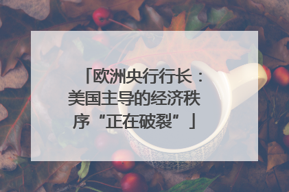 欧洲央行行长：美国主导的经济秩序“正在破裂”