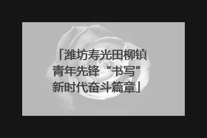 潍坊寿光田柳镇青年先锋“书写”新时代奋斗篇章