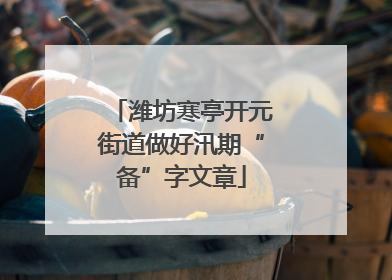 潍坊寒亭开元街道做好汛期“备”字文章