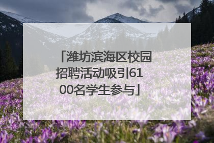 潍坊滨海区校园招聘活动吸引6100名学生参与