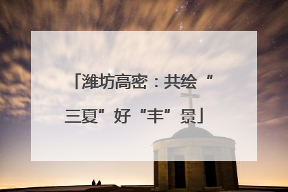 潍坊高密：共绘“三夏”好“丰”景