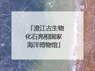 澄江古生物化石亮相国家海洋博物馆