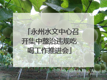 永州水文中心召开集中整治违规吃喝工作推进会