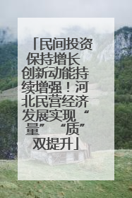 民间投资保持增长 创新动能持续增强！河北民营经济发展实现“量”“质”双提升