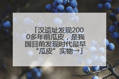 汉遗址发现2000多年前瓜皮，是我国目前发现时代最早“瓜皮”实物→