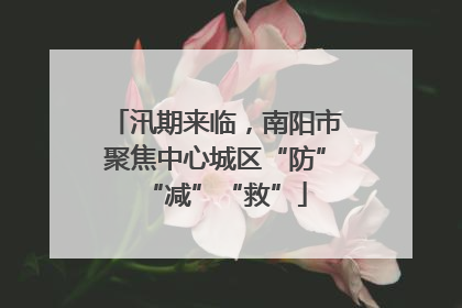 汛期来临，南阳市聚焦中心城区“防”“减”“救”