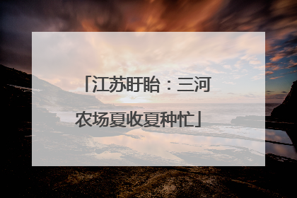 江苏盱眙：三河农场夏收夏种忙