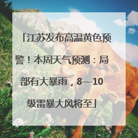 江苏发布高温黄色预警！本周天气预测：局部有大暴雨，8—10级雷暴大风将至
