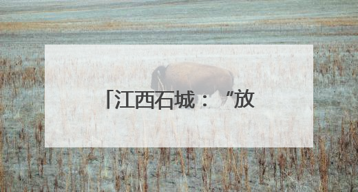 江西石城：“放蜂治蚜”助力绿色防控与农业发展