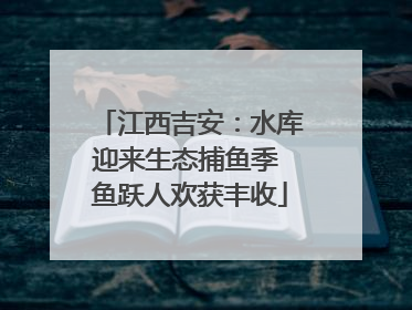 江西吉安：水库迎来生态捕鱼季 鱼跃人欢获丰收