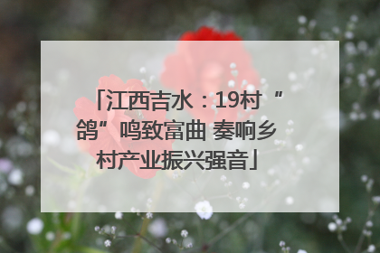 江西吉水：19村“鸽”鸣致富曲 奏响乡村产业振兴强音