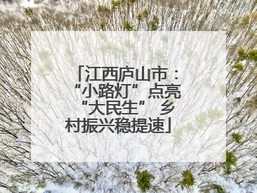 江西庐山市：“小路灯”点亮“大民生” 乡村振兴稳提速