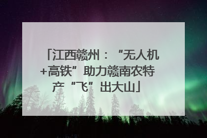江西赣州：“无人机+高铁”助力赣南农特产“飞”出大山