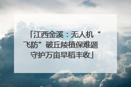 江西金溪：无人机“飞防”破丘陵植保难题 守护万亩早稻丰收