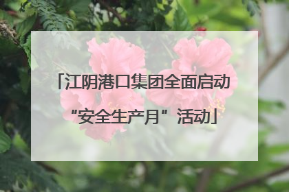 江阴港口集团全面启动“安全生产月”活动