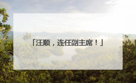 汪顺，连任副主席！