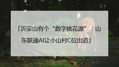 沂蒙山有个“数字桃花源”：山东联通AI让小山村C位出道