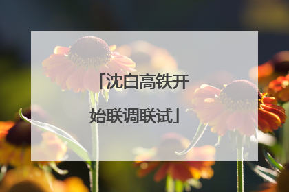 沈白高铁开始联调联试