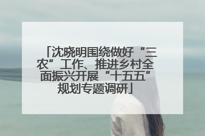 沈晓明围绕做好“三农”工作、推进乡村全面振兴开展“十五五”规划专题调研