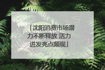 沈阳消费市场潜力不断释放 活力迸发亮点频现
