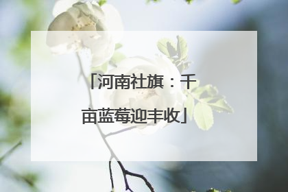 河南社旗：千亩蓝莓迎丰收