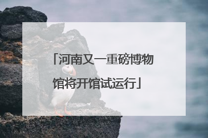河南又一重磅博物馆将开馆试运行