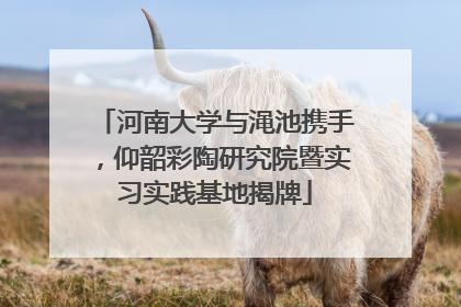 河南大学与渑池携手，仰韶彩陶研究院暨实习实践基地揭牌