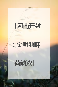 河南开封：金明池畔荷韵浓